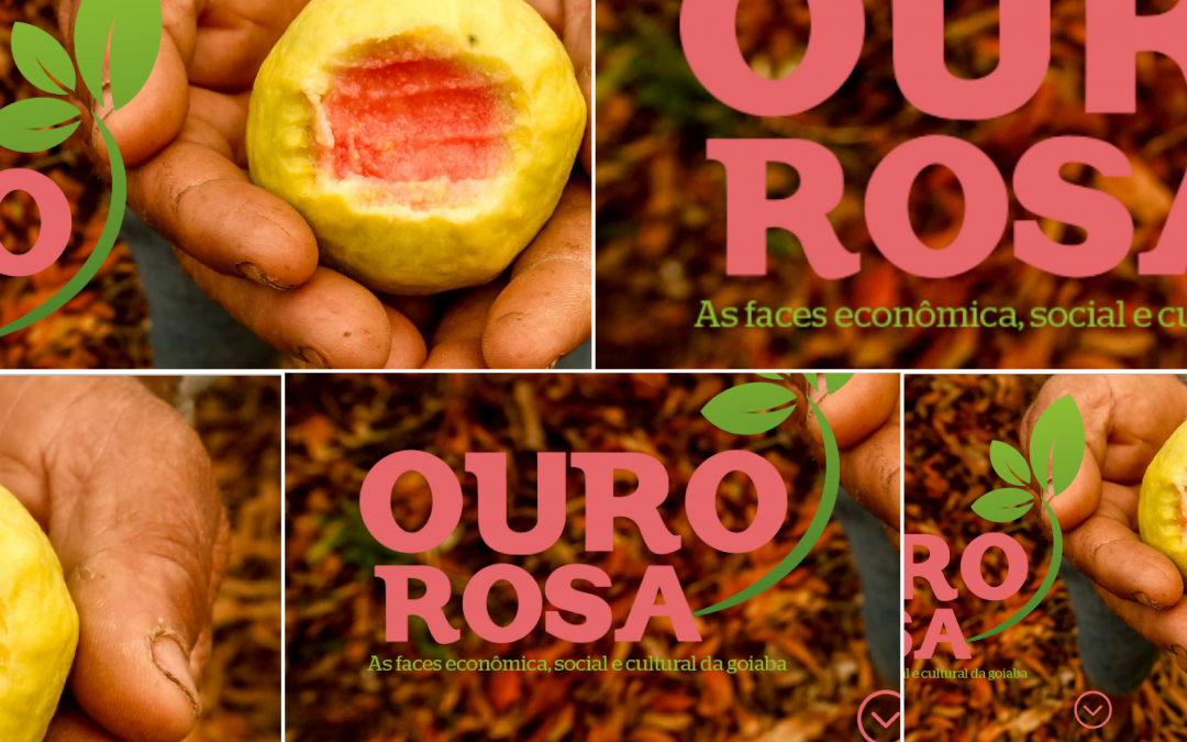 A face cultural da reportagem Ouro rosa